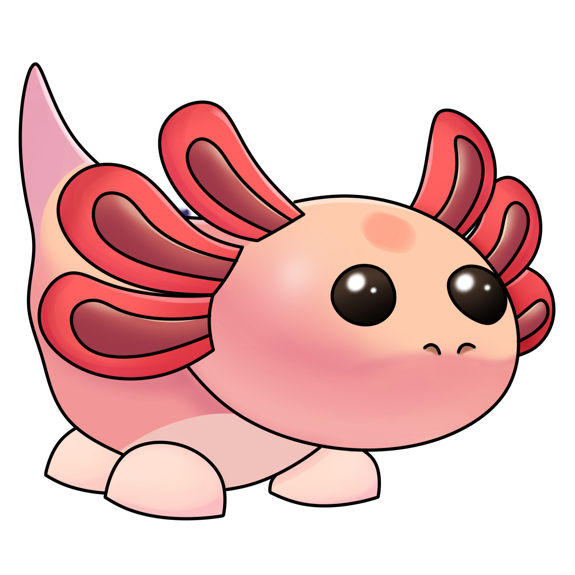 Axolotl