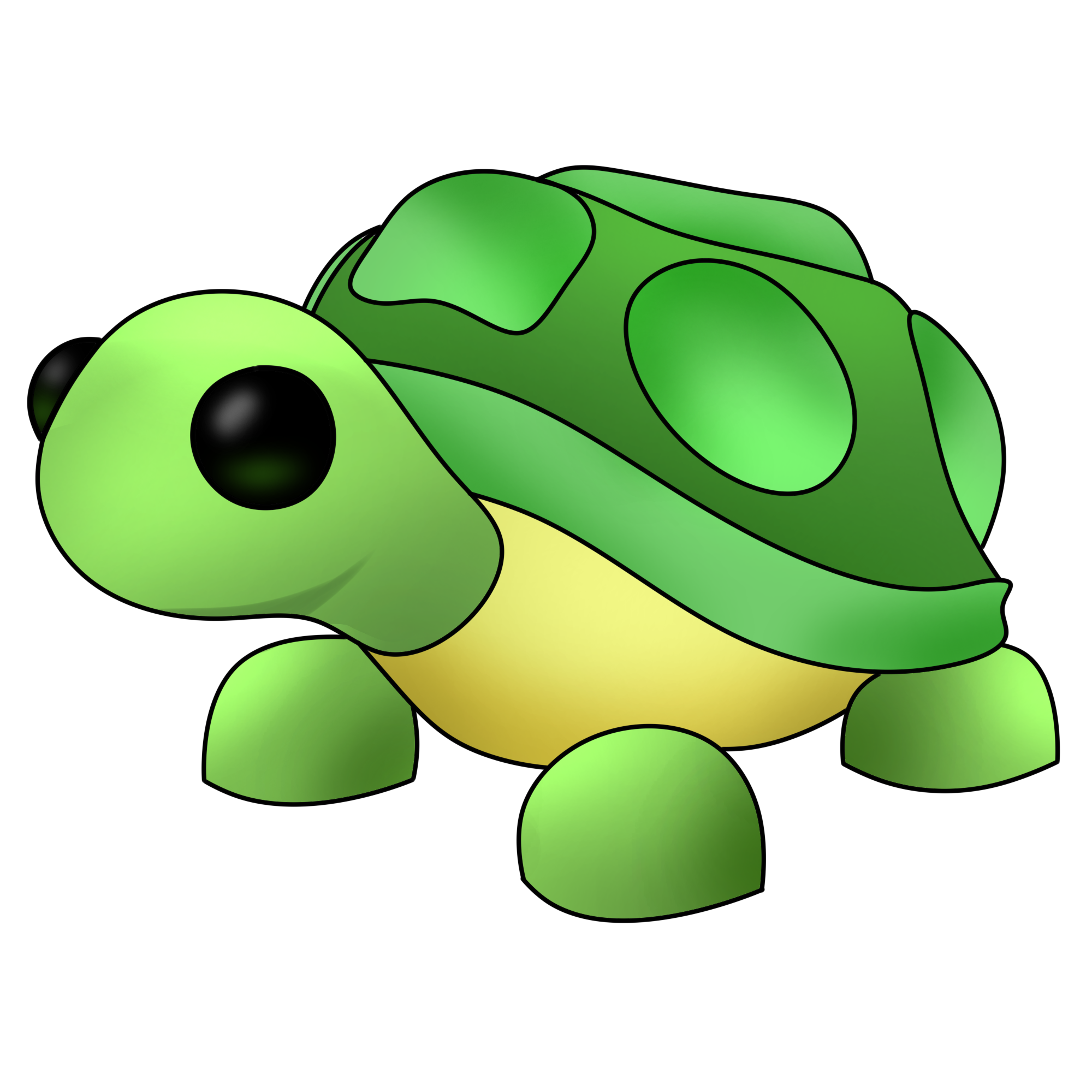 Turtle