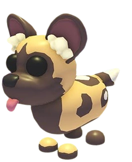 African Wild Dog Adopt Me