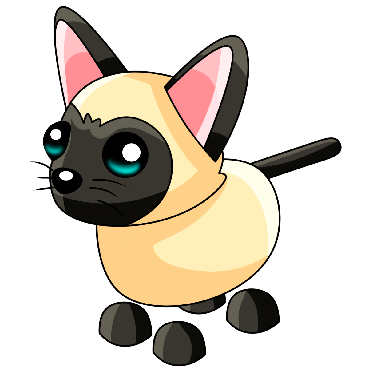 Siamese Cat Adopt Me